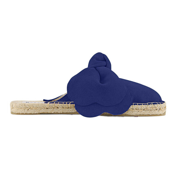 Royal Blue Slippers